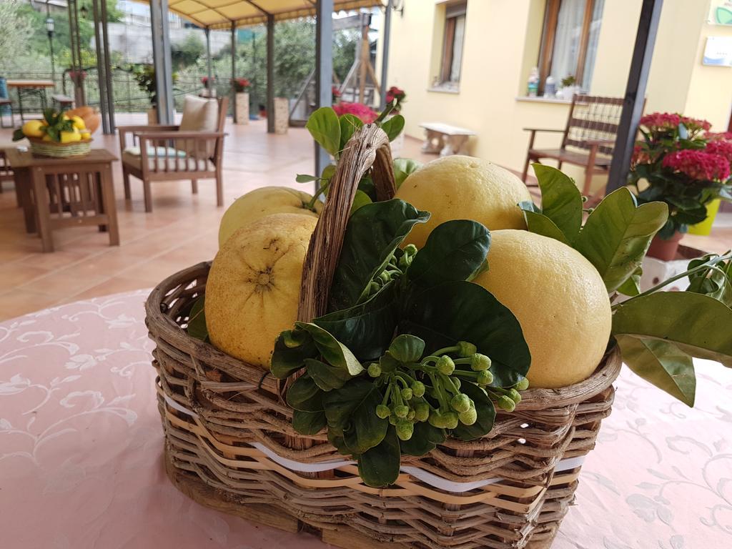 סנרמו Agriturismo Al Nido Degli Aironi מראה חיצוני תמונה