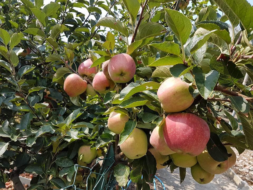 סנרמו Agriturismo Al Nido Degli Aironi מראה חיצוני תמונה